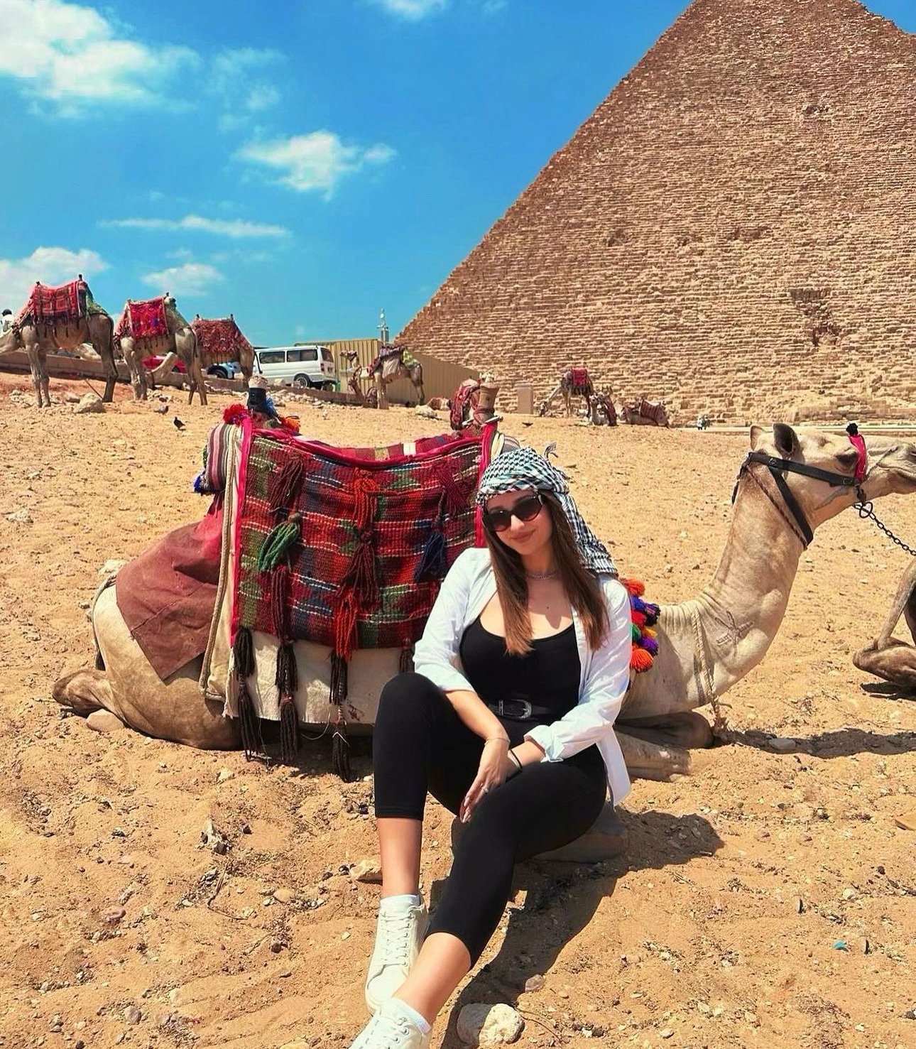 Camel Or Horse Ride At Giza Pyramids